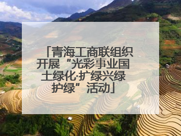青海工商联组织开展“光彩事业国土绿化·扩绿兴绿护绿”活动