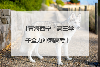 青海西宁：高三学子全力冲刺高考