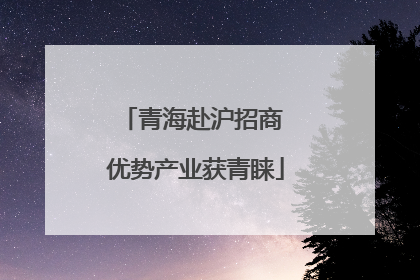 青海赴沪招商 优势产业获青睐
