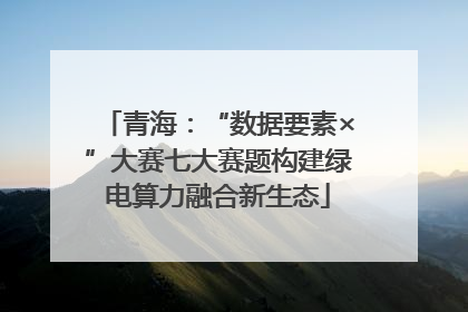 青海：“数据要素×”大赛七大赛题构建绿电算力融合新生态
