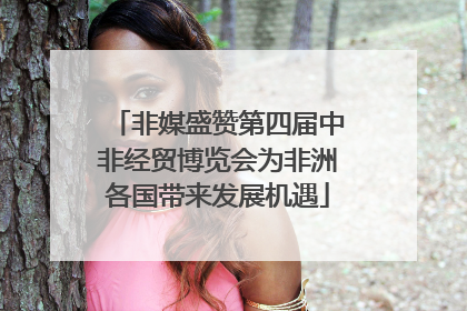 非媒盛赞第四届中非经贸博览会为非洲各国带来发展机遇
