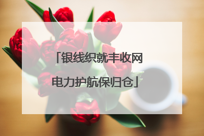 银线织就丰收网 电力护航保归仓