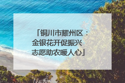 铜川市耀州区：金银花开促振兴 志愿助农暖人心
