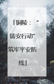 铜陵：“铸安行动”筑牢平安防线