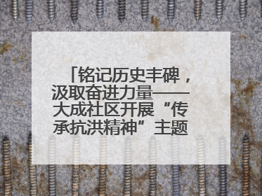铭记历史丰碑，汲取奋进力量——大成社区开展“传承抗洪精神”主题党日活动