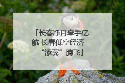 长春净月牵手亿航 长春低空经济“添翼”腾飞
