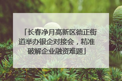 长春净月高新区德正街道举办银企对接会，精准破解企业融资难题