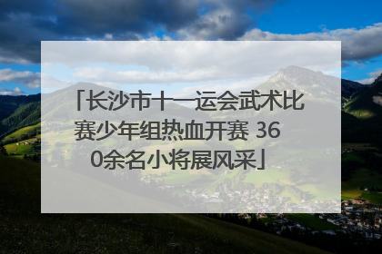 长沙市十一运会武术比赛少年组热血开赛 360余名小将展风采