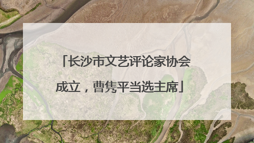 长沙市文艺评论家协会成立，曹隽平当选主席