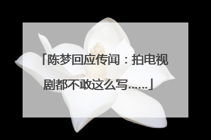 陈梦回应传闻：拍电视剧都不敢这么写……