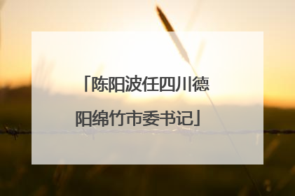 陈阳波任四川德阳绵竹市委书记