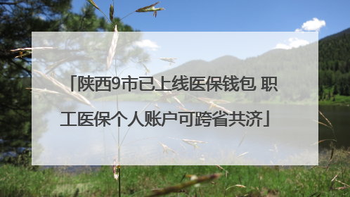 陕西9市已上线医保钱包 职工医保个人账户可跨省共济