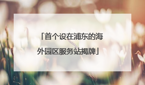 首个设在浦东的海外园区服务站揭牌