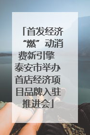 首发经济“燃”动消费新引擎 泰安市举办首店经济项目品牌入驻推进会