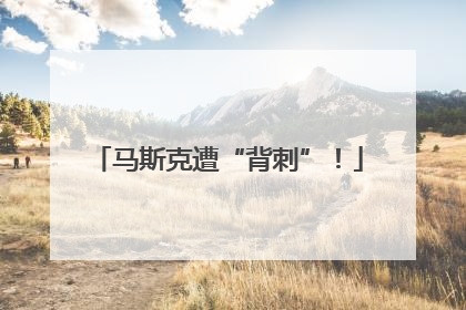 马斯克遭“背刺”！