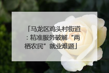 马龙区鸡头村街道：精准服务破解“两栖农民”就业难题