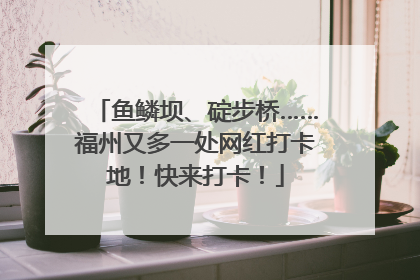 鱼鳞坝、碇步桥……福州又多一处网红打卡地！快来打卡！