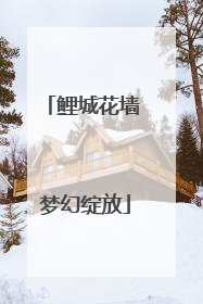 鲤城花墙 梦幻绽放