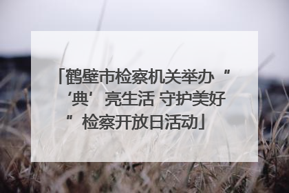 鹤壁市检察机关举办“‘典’亮生活 守护美好”检察开放日活动