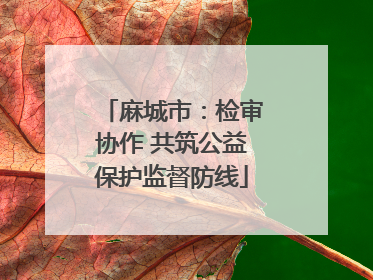 麻城市：检审协作 共筑公益保护监督防线