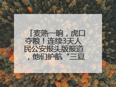 麦熟一晌，虎口夺粮！连续3天人民公安报头版报道，他们护航“三夏”做了啥？