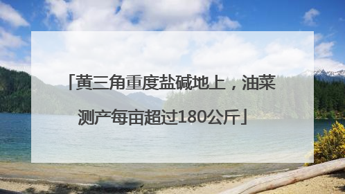 黄三角重度盐碱地上，油菜测产每亩超过180公斤