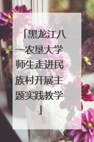 黑龙江八一农垦大学师生走进民族村开展主题实践教学