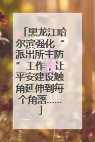 黑龙江哈尔滨强化“派出所主防”工作，让平安建设触角延伸到每个角落……