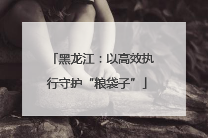 黑龙江：以高效执行守护“粮袋子”