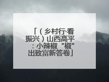（乡村行·看振兴）山西高平：小辣椒“椒”出致富新答卷