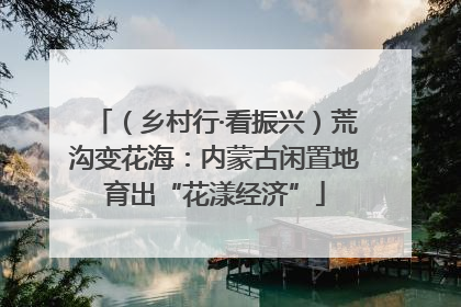 （乡村行·看振兴）荒沟变花海：内蒙古闲置地育出“花漾经济”