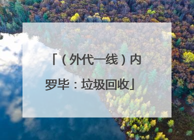 （外代一线）内罗毕：垃圾回收