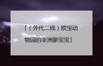 （外代二线）欧宝动物园的非洲象宝宝