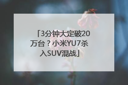 3分钟大定破20万台？小米YU7杀入SUV混战