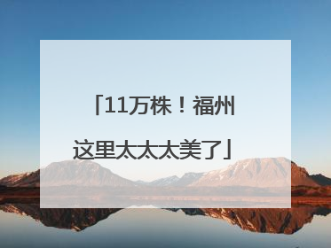 11万株！福州这里太太太美了