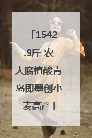 1542.9斤 农大腐植酸青岛即墨创小麦高产