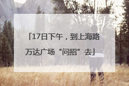 17日下午，到上海路万达广场“问招”去