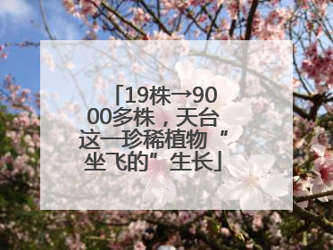 19株→9000多株，天台这一珍稀植物“坐飞的”生长