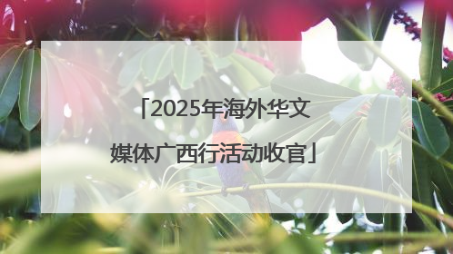 2025年海外华文媒体广西行活动收官