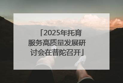 2025年托育服务高质量发展研讨会在普陀召开