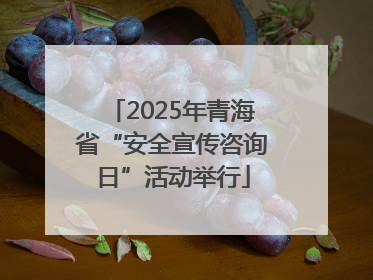 2025年青海省“安全宣传咨询日”活动举行