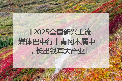2025全国新兴主流媒体巴中行丨青冈木屑中，长出银耳大产业