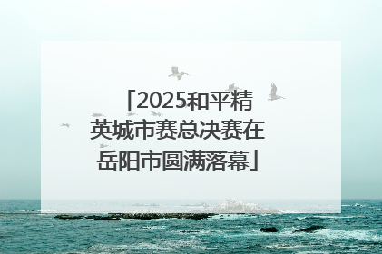 2025和平精英城市赛总决赛在岳阳市圆满落幕