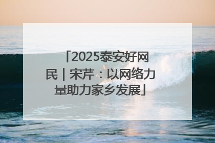 2025泰安好网民｜宋芹：以网络力量助力家乡发展