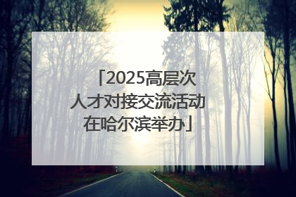 2025高层次人才对接交流活动在哈尔滨举办