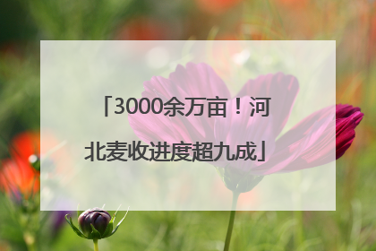 3000余万亩！河北麦收进度超九成