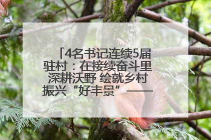 4名书记连续5届驻村：在接续奋斗里深耕沃野 绘就乡村振兴“好丰景”——浦发银行南京分行助力脱贫攻坚、帮促乡村振兴记事（二）