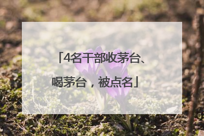4名干部收茅台、喝茅台，被点名