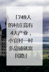 749人的村庄竟有4大产业，小官村一村多品铺就富民路