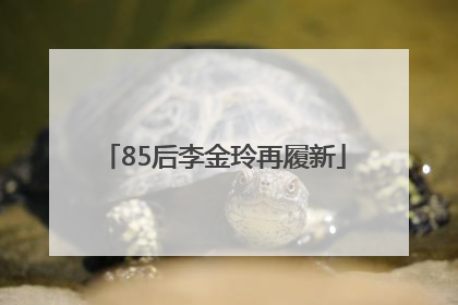 85后李金玲再履新